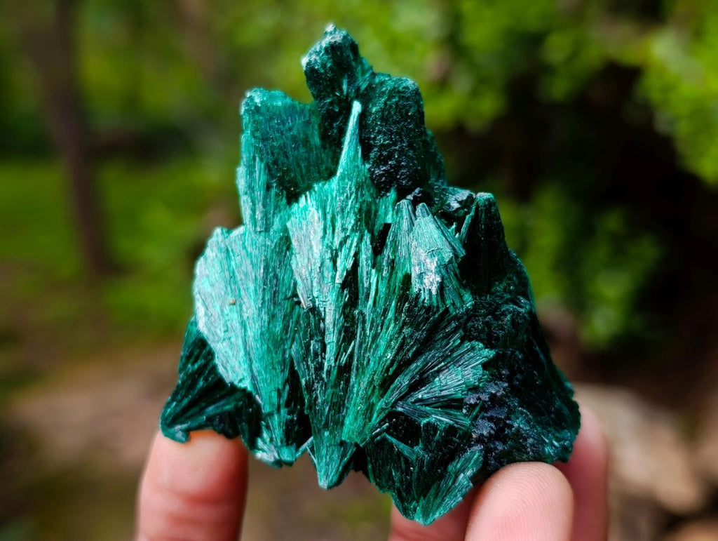 Natural Silky Malachite Specimens x 12 From Kasompe, Congo