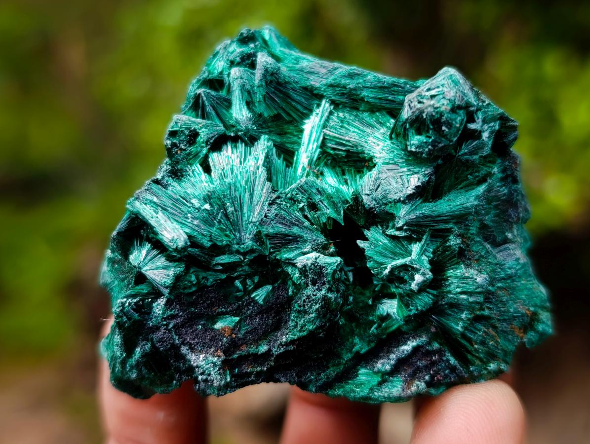 Natural Silky Malachite Specimens x 12 From Kasompe, Congo