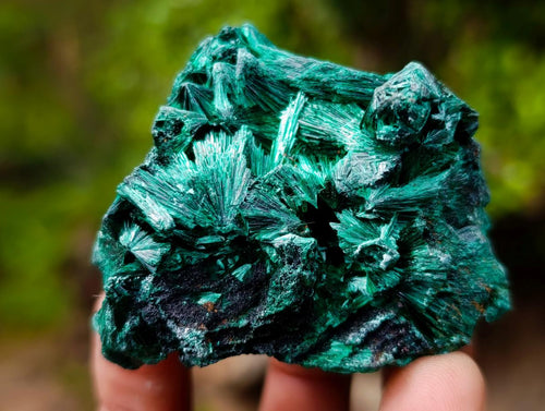 Natural Silky Malachite Specimens x 12 From Kasompe, Congo