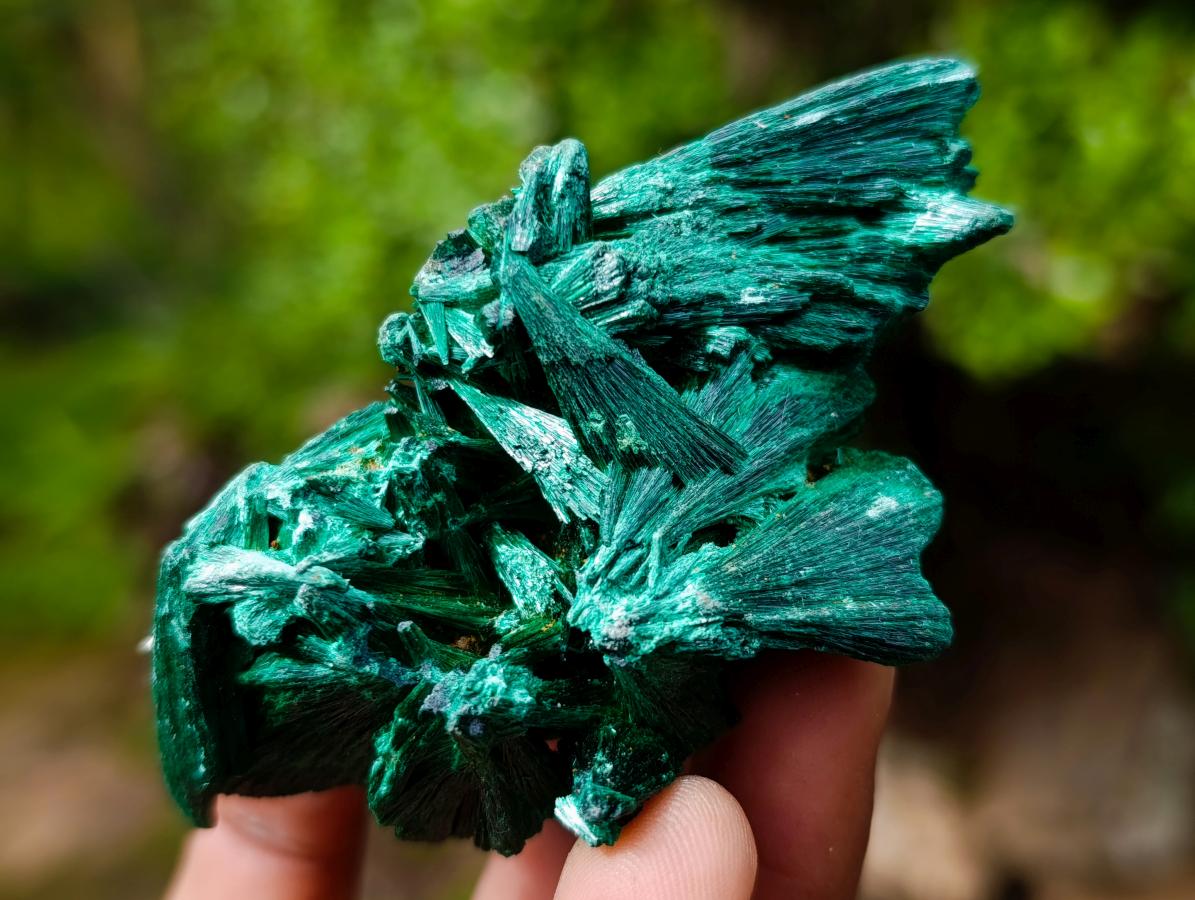 Natural Silky Malachite Specimens x 12 From Kasompe, Congo