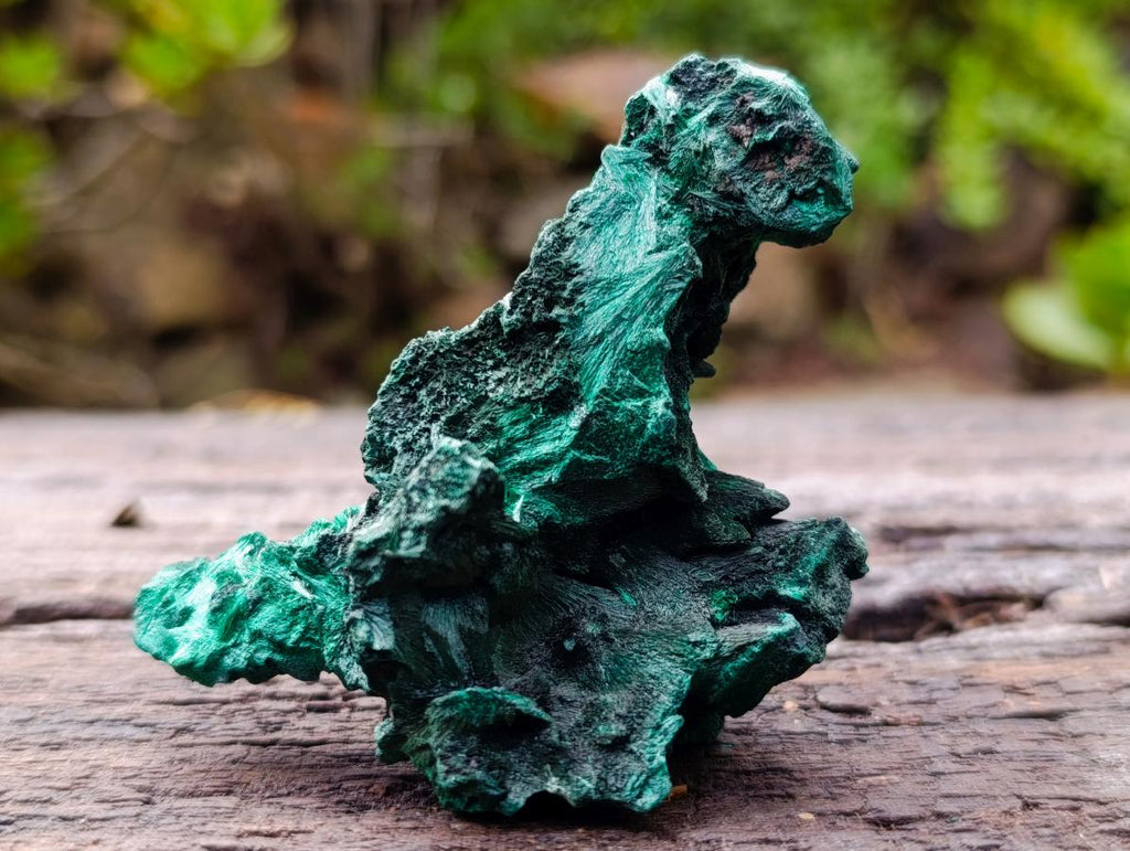 Natural Silky Malachite Specimens x 12 From Kasompe, Congo