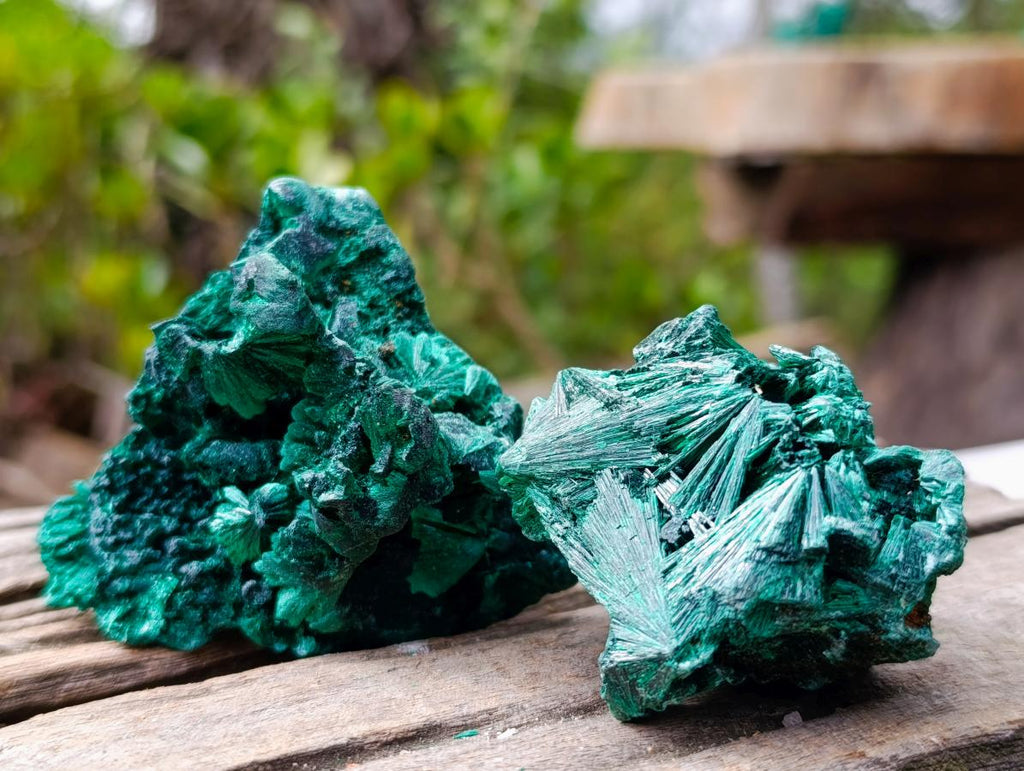 Natural Silky Malachite Specimens x 12 From Kasompe, Congo