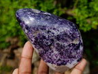 Polished Lepidolite Standing Display Pieces x 2 From Zimbabwe