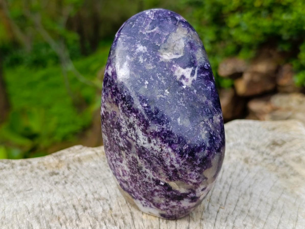Polished Lepidolite Standing Display Pieces x 2 From Zimbabwe