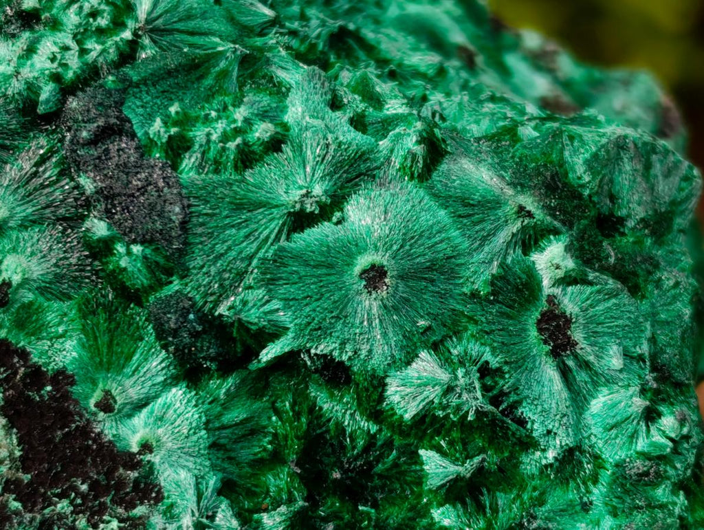 Natural Silky Malachite Specimens x 3 From Kasompe, Congo