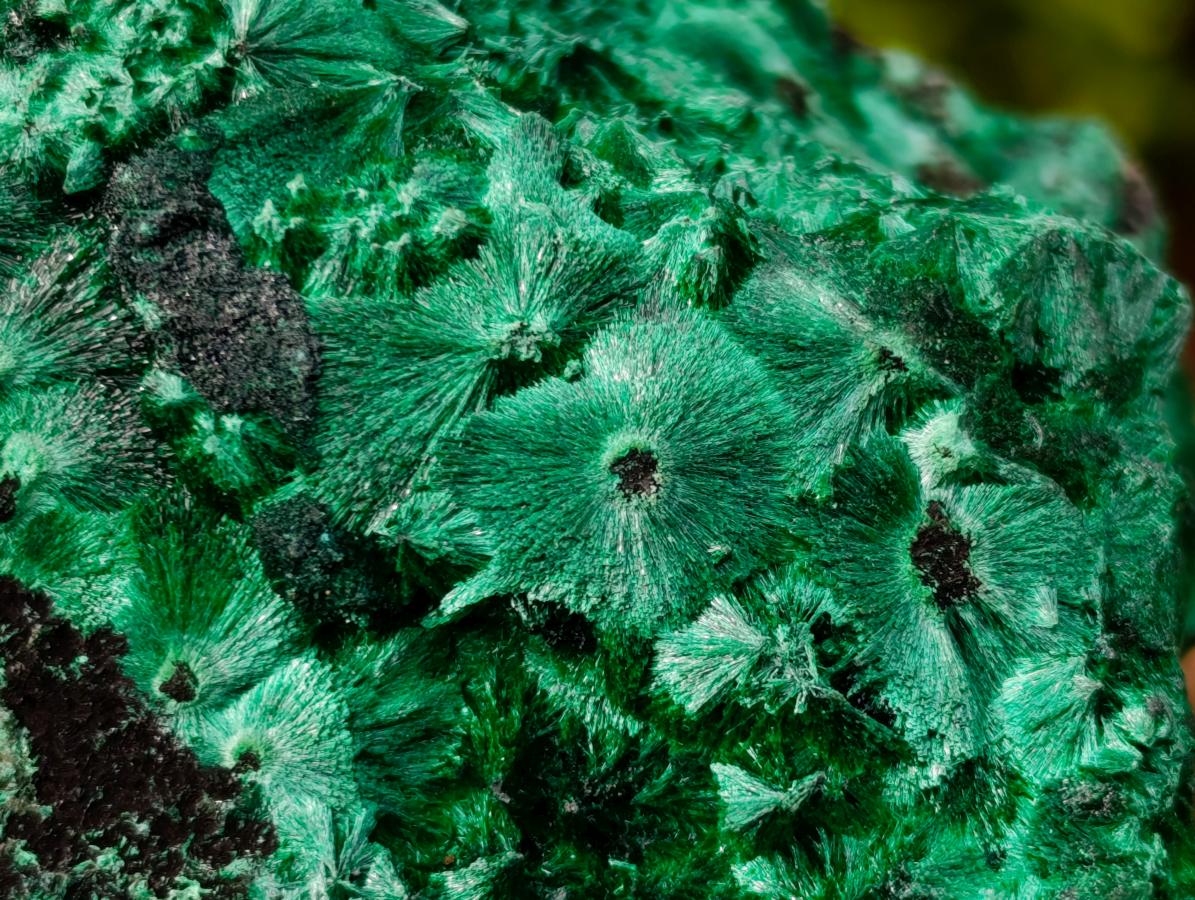 Natural Silky Malachite Specimens x 3 From Kasompe, Congo