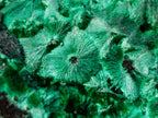 Natural Silky Malachite Specimens x 3 From Kasompe, Congo