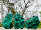 Natural Silky Malachite Specimens x 3 From Kasompe, Congo