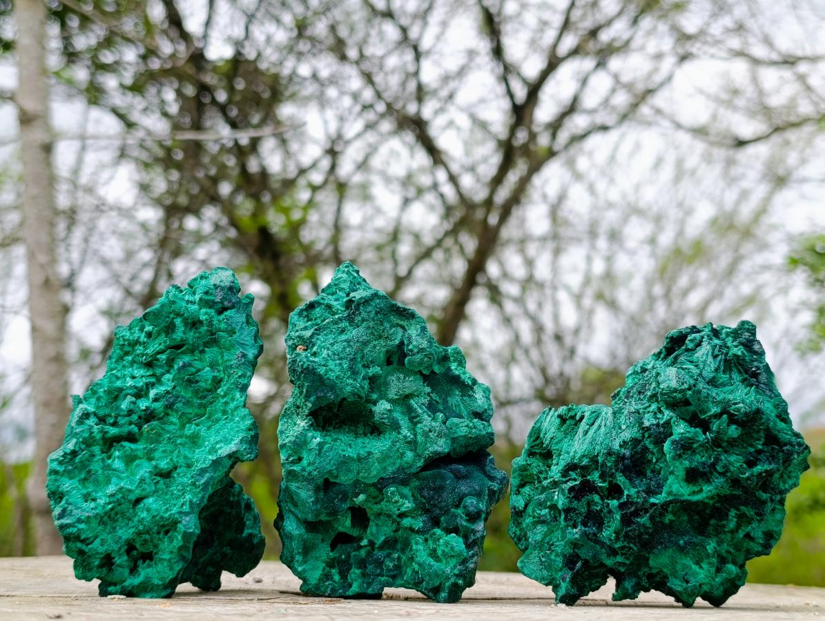 Natural Silky Malachite Specimens x 3 From Kasompe, Congo