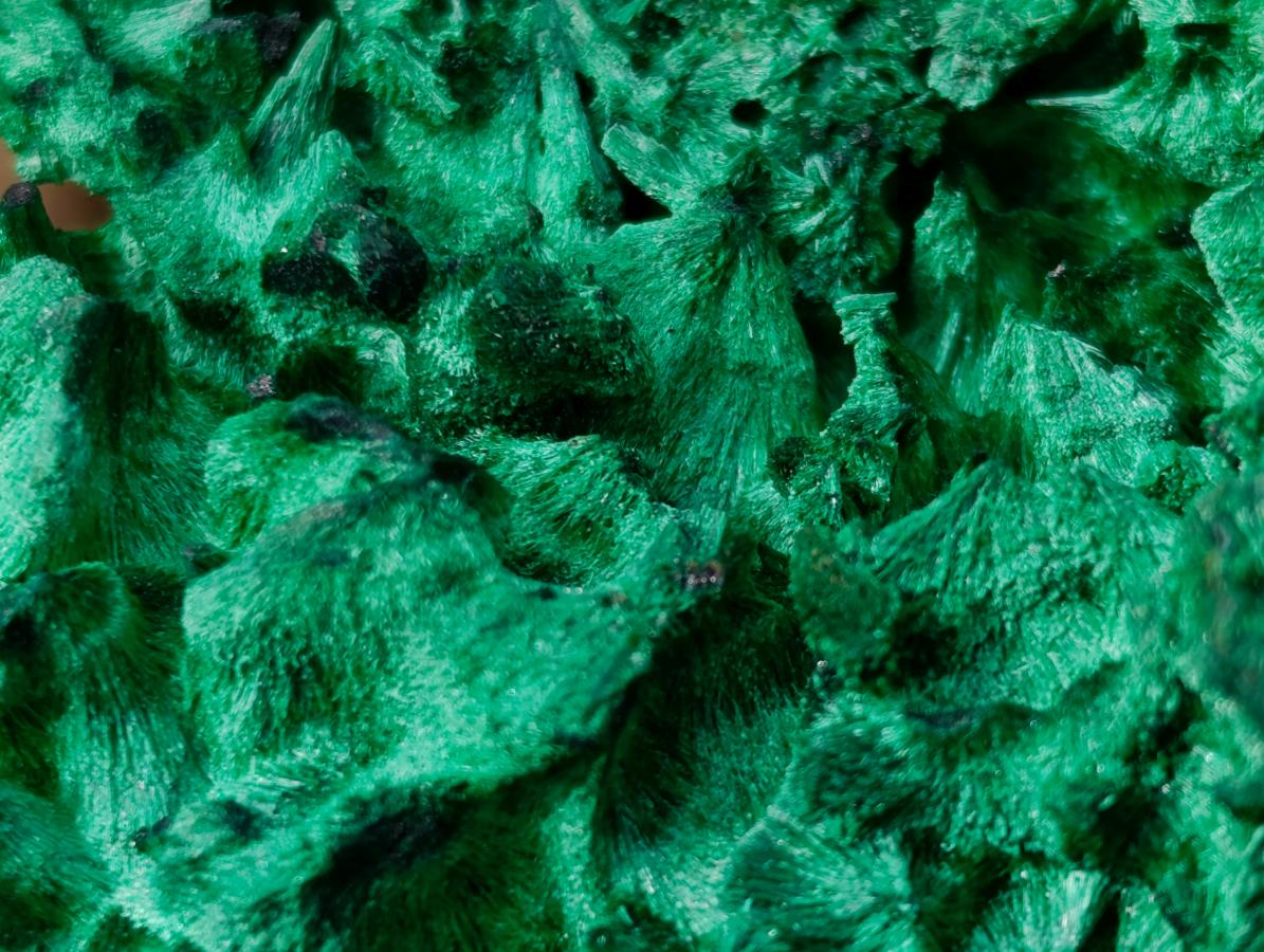 Natural Silky Malachite Specimens x 3 From Kasompe, Congo