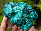 Natural Silky Malachite Specimens x 3 From Kasompe, Congo