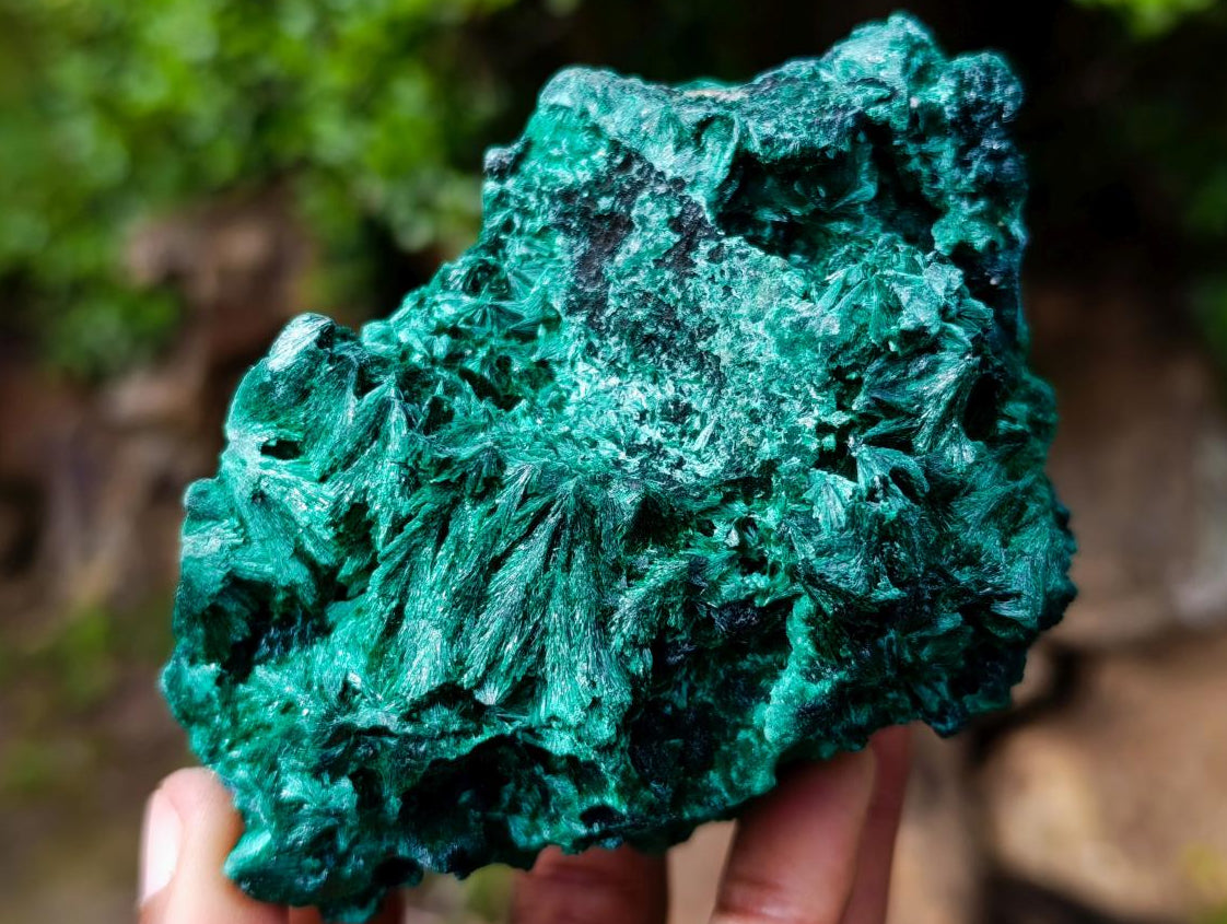 Natural Silky Malachite Specimens x 3 From Kasompe, Congo