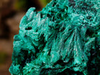 Natural Silky Malachite Specimens x 3 From Kasompe, Congo