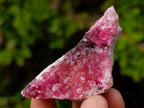 Natural Spherocobaltite Specimens x 12 From Mashamba West Mine, Congo