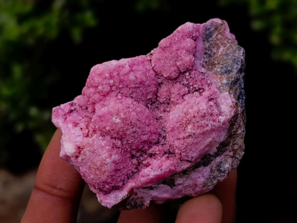 Natural Spherocobaltite Specimens x 12 From Mashamba West Mine, Congo