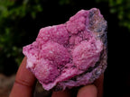 Natural Spherocobaltite Specimens x 12 From Mashamba West Mine, Congo