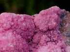 Natural Spherocobaltite Specimens x 12 From Mashamba West Mine, Congo