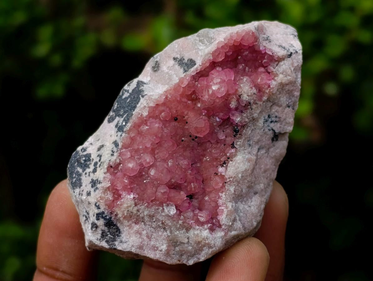 Natural Spherocobaltite Specimens x 12 From Mashamba West Mine, Congo
