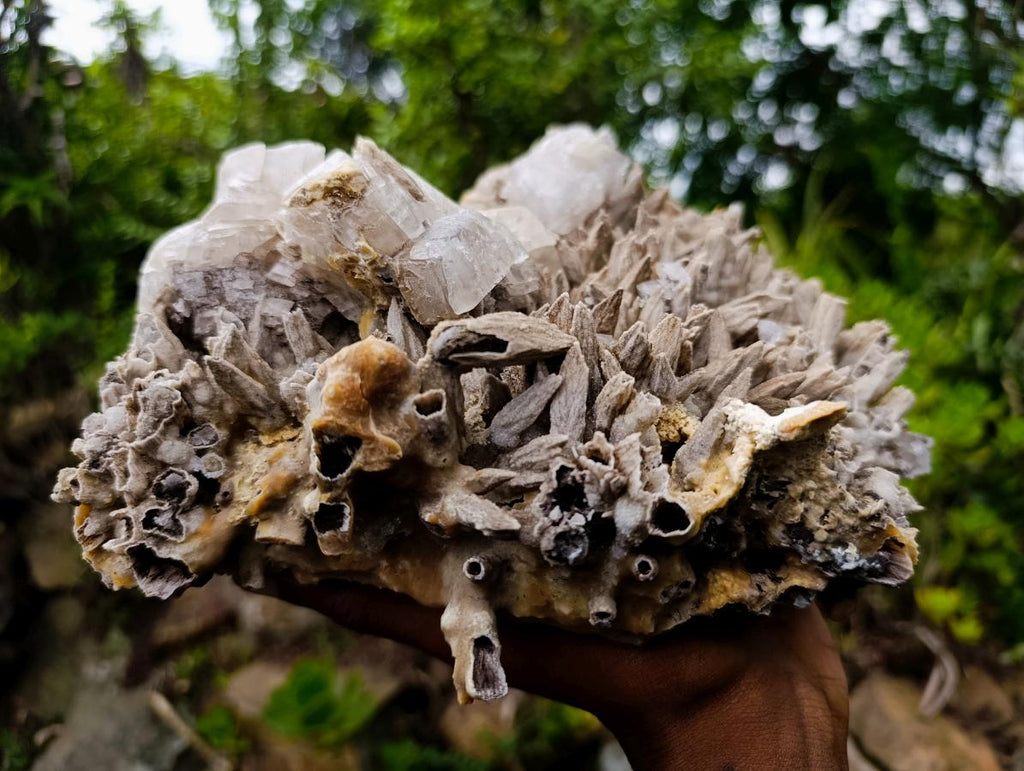 Natural XL Drusy Coated Calcite Sceptre Spearhead Pseudomorph Cluster x 1 From Albert's Mountain, Lesotho