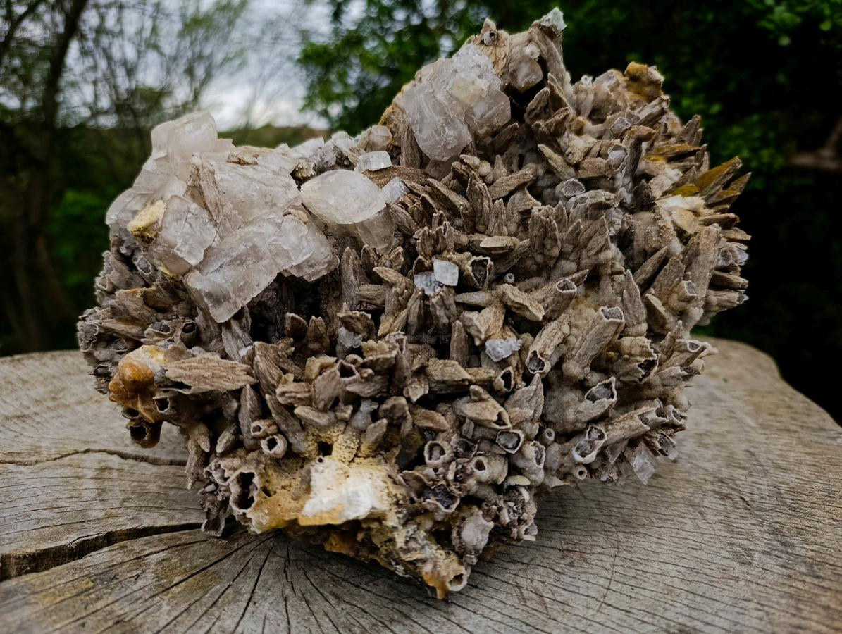 Natural XL Drusy Coated Calcite Sceptre Spearhead Pseudomorph Cluster x 1 From Albert's Mountain, Lesotho