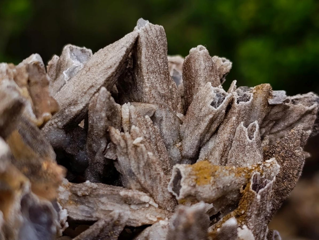 Natural XL Drusy Coated Calcite Sceptre Spearhead Pseudomorph Cluster x 1 From Albert's Mountain, Lesotho