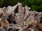 Natural XL Drusy Coated Calcite Sceptre Spearhead Pseudomorph Cluster x 1 From Albert's Mountain, Lesotho