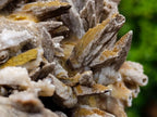 Natural XL Drusy Coated Calcite Sceptre Spearhead Pseudomorph Cluster x 1 From Albert's Mountain, Lesotho