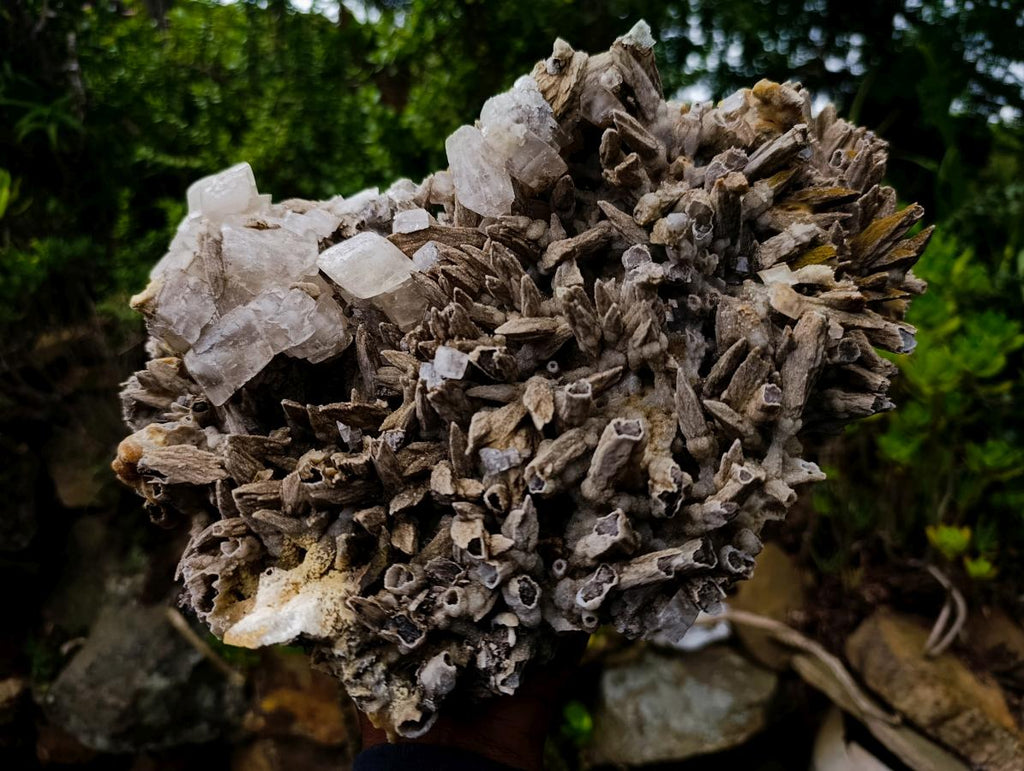 Natural XL Drusy Coated Calcite Sceptre Spearhead Pseudomorph Cluster x 1 From Albert's Mountain, Lesotho