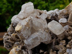 Natural XL Drusy Coated Calcite Sceptre Spearhead Pseudomorph Cluster x 1 From Albert's Mountain, Lesotho