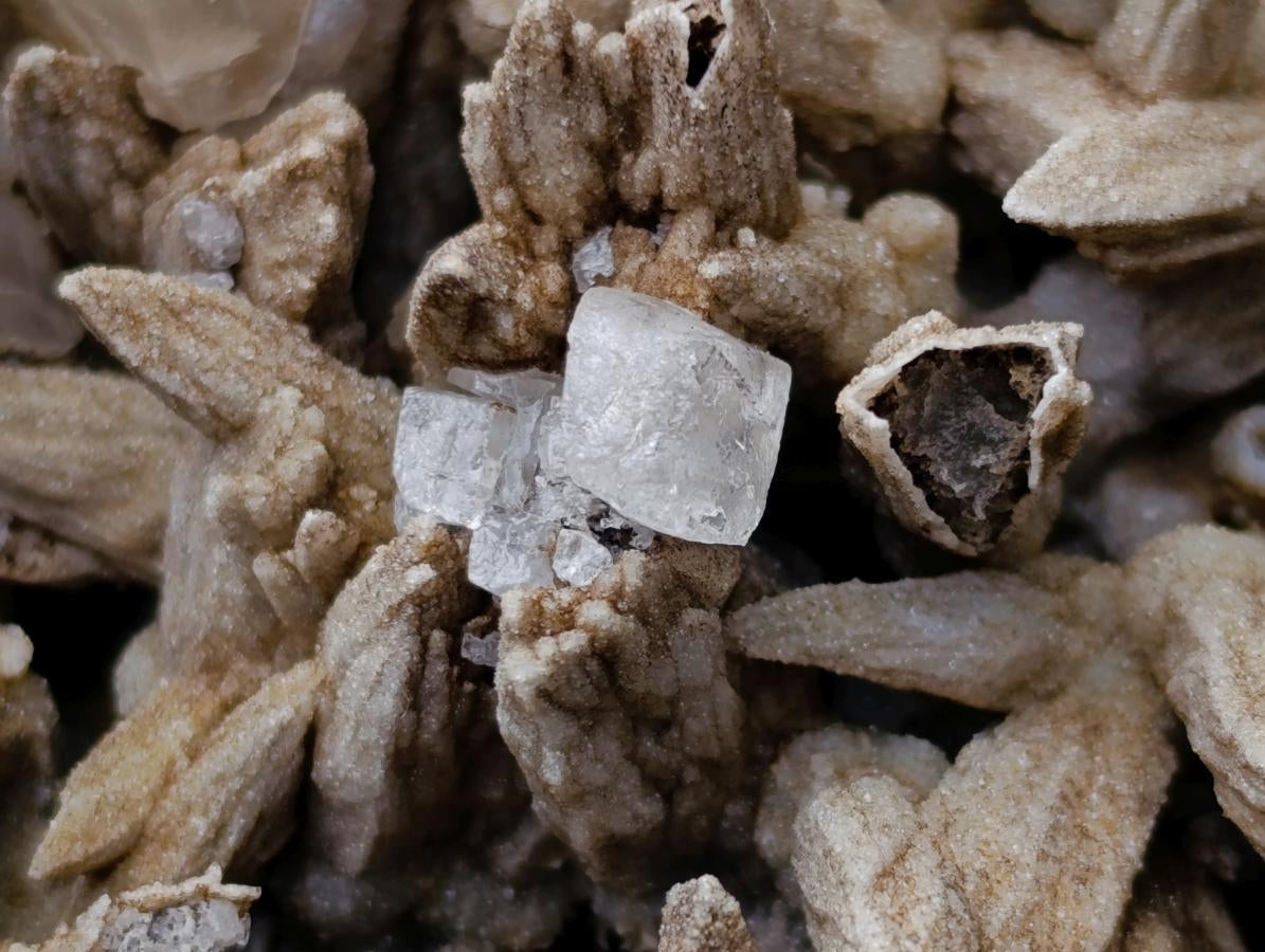 Natural XL Drusy Coated Calcite Sceptre Spearhead Pseudomorph Cluster x 1 From Albert's Mountain, Lesotho