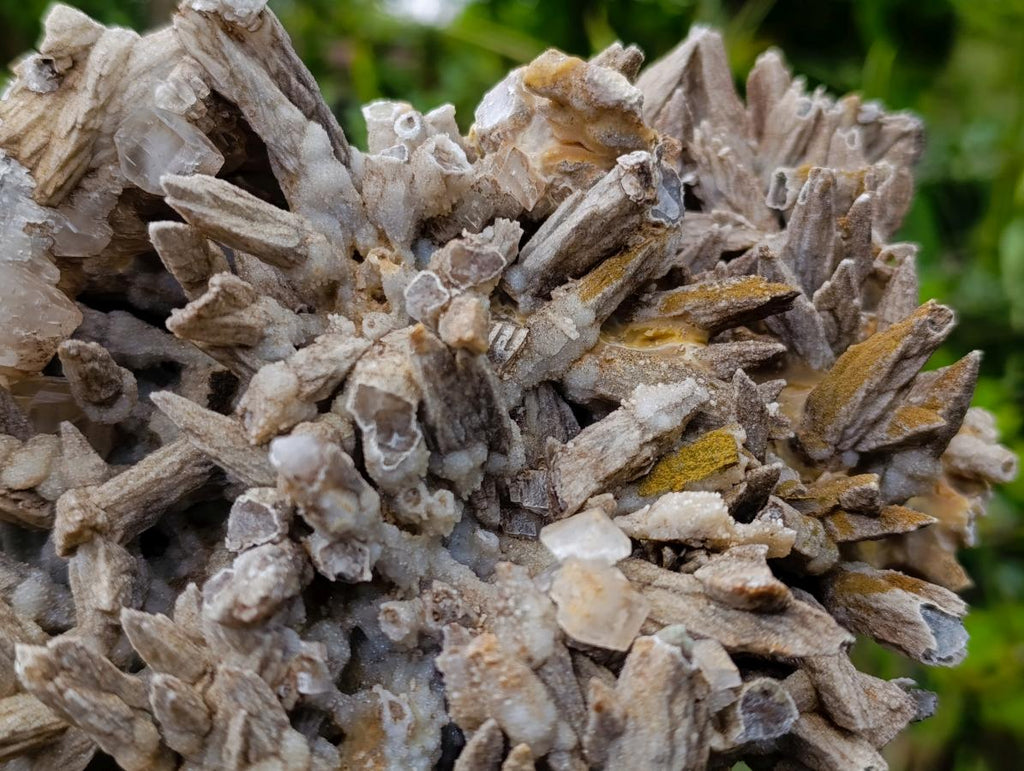 Natural XL Drusy Coated Calcite Sceptre Spearhead Pseudomorph Cluster x 1 From Albert's Mountain, Lesotho