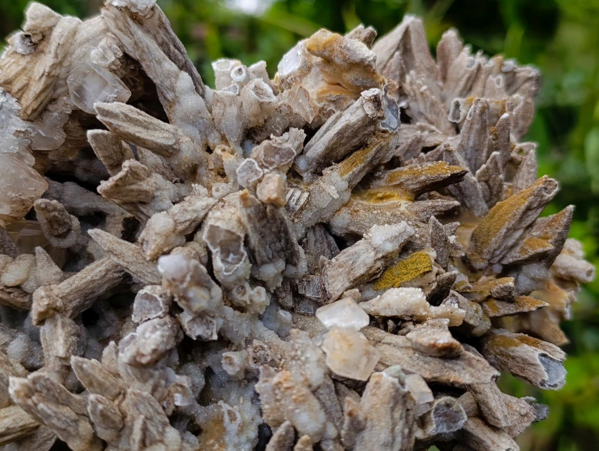 Natural XL Drusy Coated Calcite Sceptre Spearhead Pseudomorph Cluster x 1 From Albert's Mountain, Lesotho