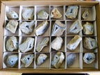 Polished One Side Blue Lace Agate Geodes x 24 From Nsanje, Malawi