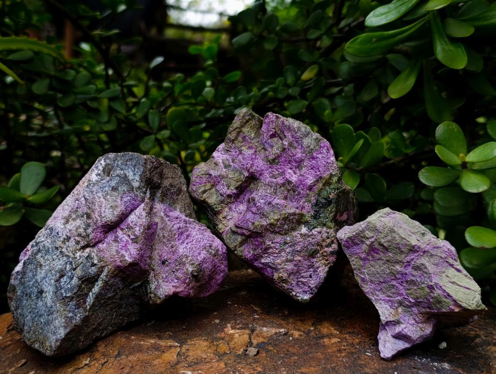 Natural Cobbed Stichtite Specimens x 7 From Barberton, South Africa