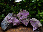 Natural Cobbed Stichtite Specimens x 7 From Barberton, South Africa