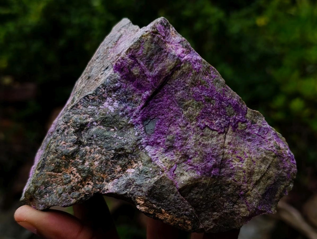 Natural Cobbed Stichtite Specimens x 7 From Barberton, South Africa