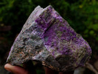 Natural Cobbed Stichtite Specimens x 7 From Barberton, South Africa