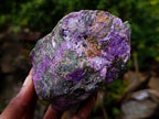 Natural Cobbed Stichtite Specimens x 7 From Barberton, South Africa