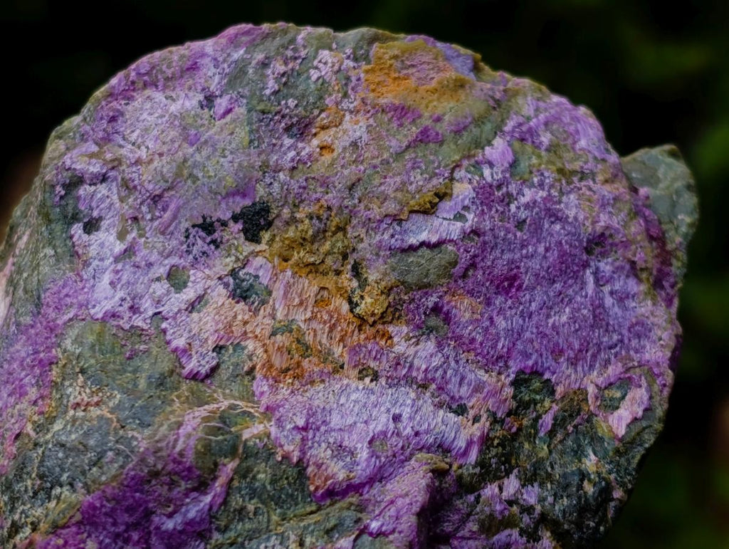Natural Cobbed Stichtite Specimens x 7 From Barberton, South Africa