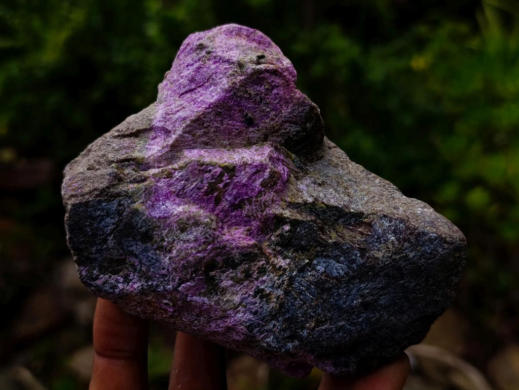 Natural Cobbed Stichtite Specimens x 7 From Barberton, South Africa