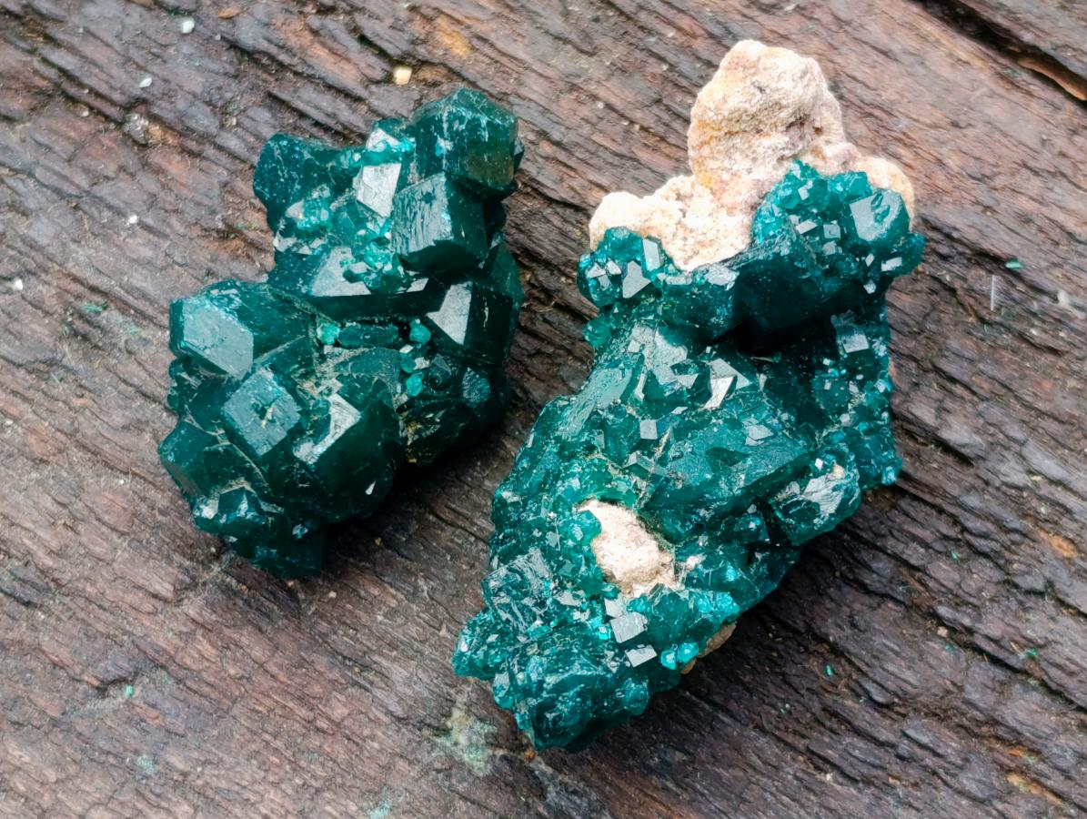 Natural Dioptase Specimens on Dolomite Matrix x 12 From Tantara Mine, Congo