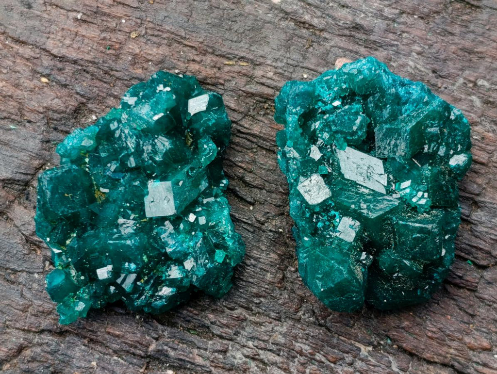 Natural Dioptase Specimens on Dolomite Matrix x 12 From Tantara Mine, Congo