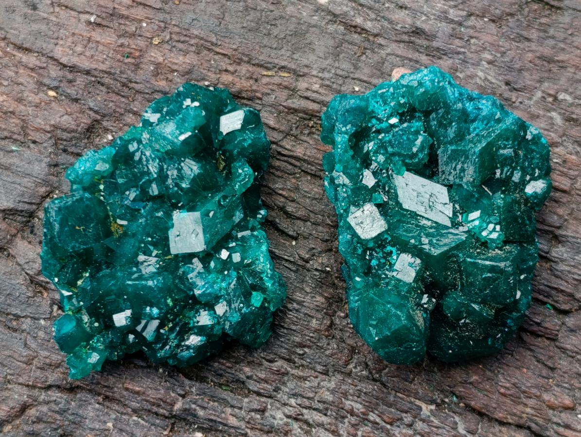 Natural Dioptase Specimens on Dolomite Matrix x 12 From Tantara Mine, Congo