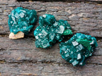 Natural Dioptase Specimens on Dolomite Matrix x 12 From Tantara Mine, Congo