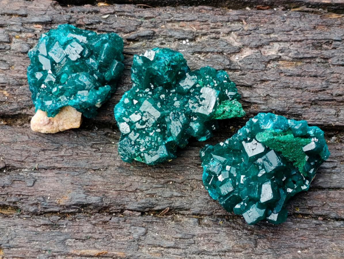 Natural Dioptase Specimens on Dolomite Matrix x 12 From Tantara Mine, Congo