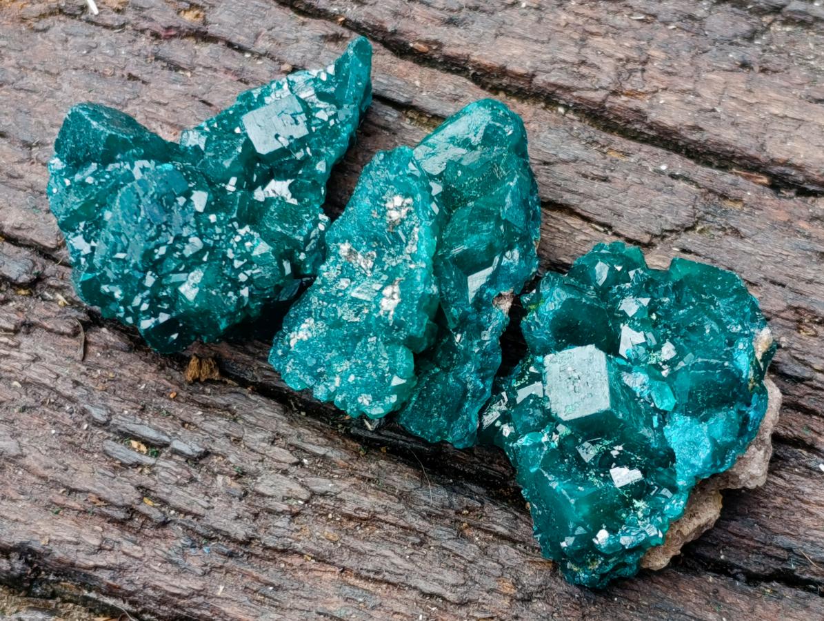 Natural Dioptase Specimens on Dolomite Matrix x 12 From Tantara Mine, Congo