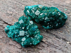 Natural Dioptase Specimens on Dolomite Matrix x 12 From Tantara Mine, Congo