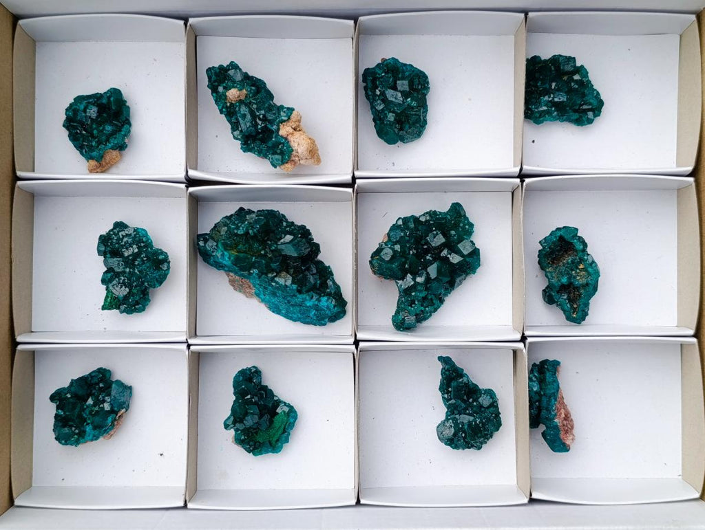 Natural Dioptase Specimens on Dolomite Matrix x 12 From Tantara Mine, Congo