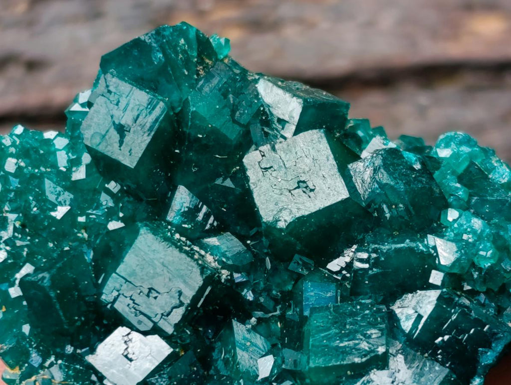 Natural Dioptase Specimens on Dolomite Matrix x 12 From Tantara Mine, Congo