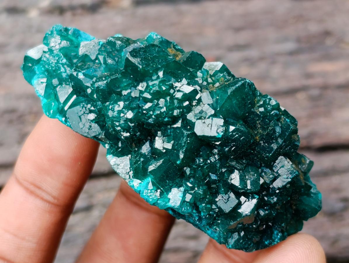 Natural Dioptase Specimens on Dolomite Matrix x 12 From Tantara Mine, Congo